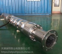 我公司QHB海水提升泵|海上石油平台潜水泵有什么优势？